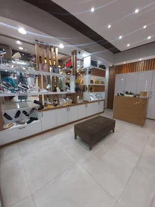 کفش بالی 2