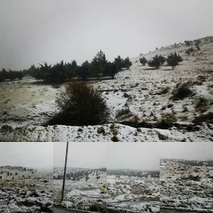 پارک قاضی آباد
