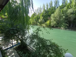محله اردال