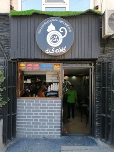 کافه کت 3