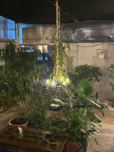 کافه آبی 5