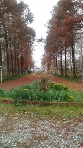 Caspian Forest Tree Seed Centre