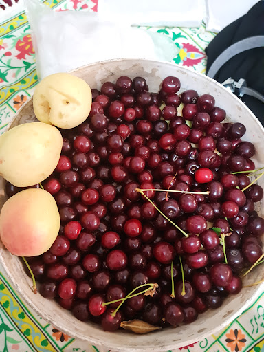 باغ