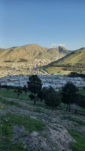 پارک ارغوان 2