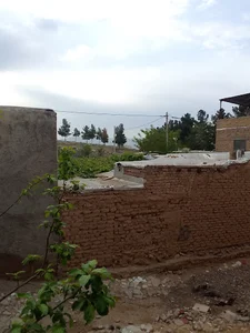 کانون اصلاح و تربیب