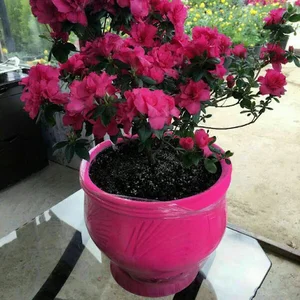 سوپرمارکت مهدی