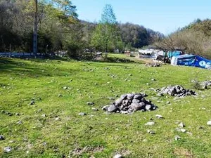 نمایندگی بیمه دی ساری کد 4134