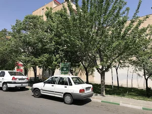 بوستان پامچال