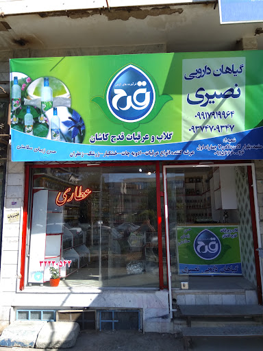 گیاهان داروئی نصیری