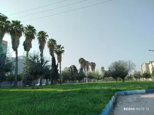 فضای سبز 2