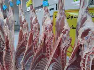 قصابی آقای گوشت کردستان(شعبه صادقیه)