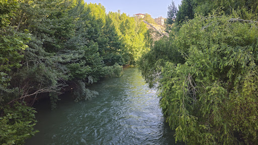باغ بهادران