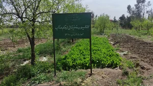 ایستگاه تحقیقات کشاورزی جعفریه