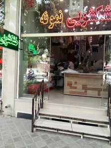 خشکشویی نمونه