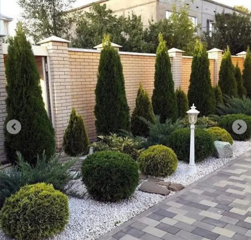 ولیسده