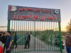 زمین چمن فرودگاه 3