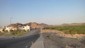 An Nawwariyyah