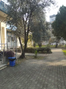 بیمارستان طالقانی