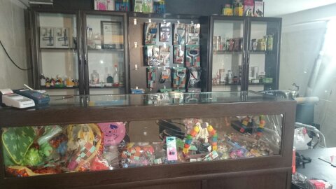کلینیک دامپزشکی دکتر برزگری