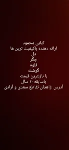 کبابی محمود 3