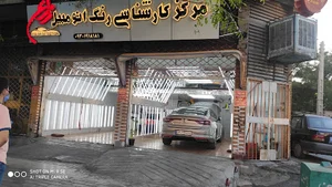 تشخیص رنگ زارع
