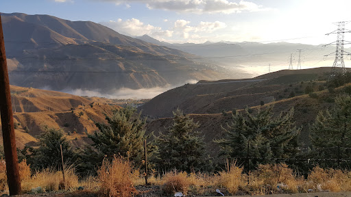 بوستان جنگلی سوهانک