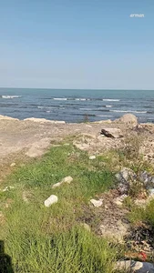 تالار گل رز