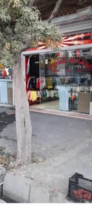 پوشاک تندیس