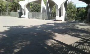 دانشگاه تهران 5