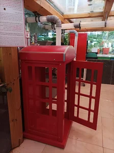 سرزمین زنبورها