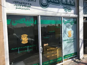 تیپاکس