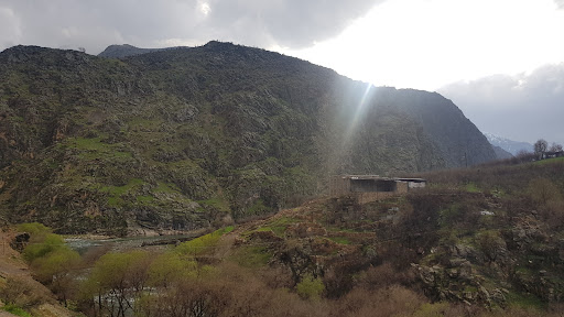 باغ پوریا پالنگانی
