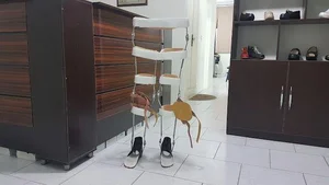 موسسه ارتوپدی فنی توان طب 3