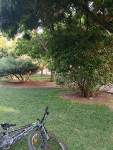 بوستان آبنوس