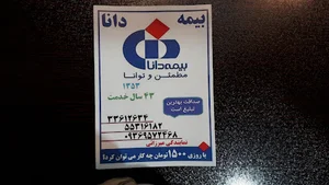 بیمه دانا