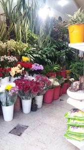 گل فروشی شهرگل