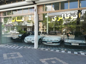 اتوگالری فانی