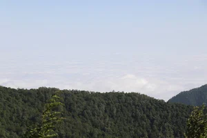 تخته سفالی