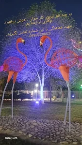 کمپ گردشگری باغ پرندگان