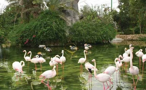 گردشگاه نورالبنی