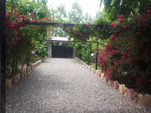 حیاط رکابدار
