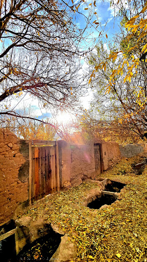 کوچه باغ