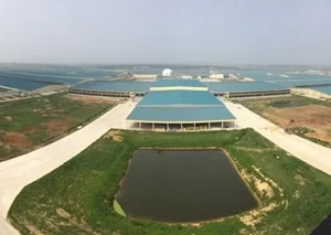 دامداری جهانیان