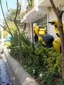 املاک سفیر