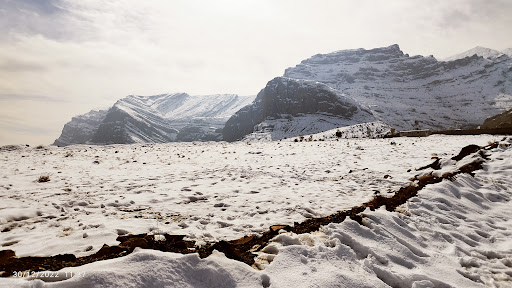 کلبه کوهستانی نوبخت