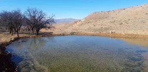 شهرک وحیدیه