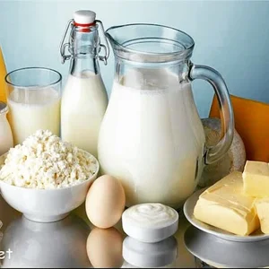 لبنیات سنتی شیرانا