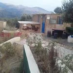 وکیل پایه یک دادگستری سمیرا دولت پور