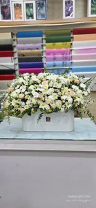 گل الینا 2