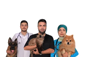 کلینیک دامپزشکی دکتر پورسیدرضا
